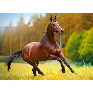 Castorland (B-018314) - "Horse" - 180 pezzi