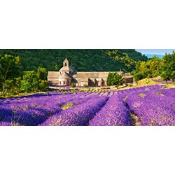 Castorland (B-060313) - "Notre Dame de Senanque, France" - 600 pezzi