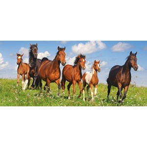 Castorland (B-060351) - "Horse Paradise" - 600 pezzi