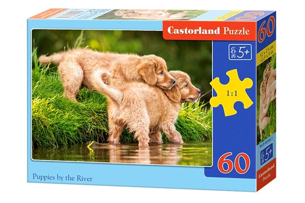 Castorland (B-06946) - "Puppies by the River" - 60 pezzi