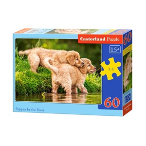 Castorland (B-06946) - "Puppies by the River" - 60 pezzi