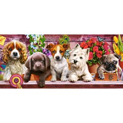 Castorland (B-060368) - "Puppies on a Shelf" - 600 pezzi