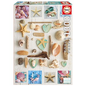 Educa (17658) - "Seashells collage" - 1000 pezzi