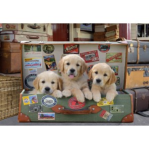 Educa (17645) - "Puppies in the luggage" - 500 pezzi