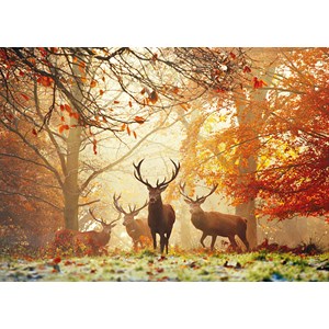 Heye (29805) - Alex Aberi: "Stags" - 1000 pezzi