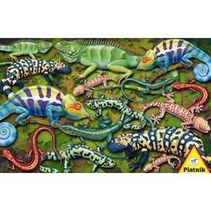 Piatnik (555343) - "Salamander" - 1000 pezzi