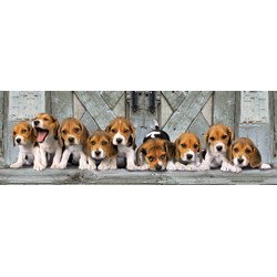 Clementoni (39076) - "Beagles" - 1000 pezzi