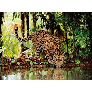 Clementoni (32537) - "Leopard" - 2000 pezzi