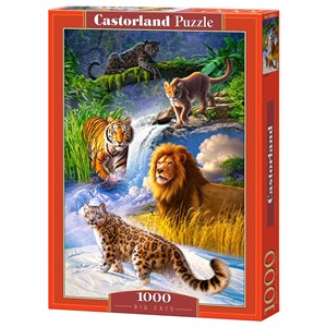 Castorland (C-103553) - "Big Cats" - 1000 pezzi