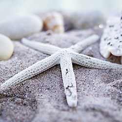 Ravensburger (19920) - "Maritime Impressions Multi" - 500 pezzi