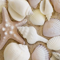 Ravensburger (19920) - "Maritime Impressions Multi" - 500 pezzi