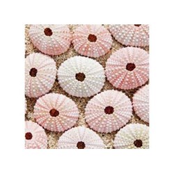 Ravensburger (19920) - "Maritime Impressions Multi" - 500 pezzi