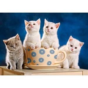 Castorland (B-52608) - "Looking for Milk" - 500 pezzi