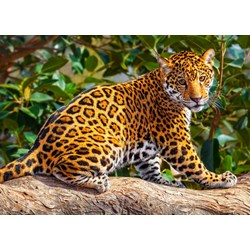 Castorland (B-27392) - "Little Jaguar" - 260 pezzi