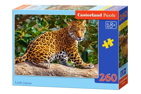 Castorland (B-27392) - "Little Jaguar" - 260 pezzi