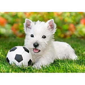 Castorland (B-06823) - "White Terrier and Football" - 60 pezzi