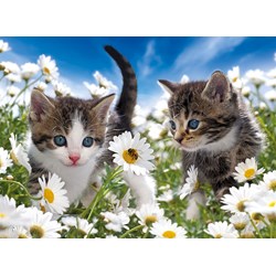 Ravensburger (10612) - "Kitty and Daisies" - 100 pezzi