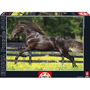 Educa (15148) - "Full Gallop" - 500 pezzi