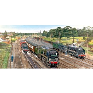 Gibsons (G4018) - "New Forest Junction" - 636 pezzi