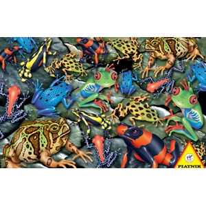 Piatnik (555244) - "Big Frogs" - 1000 pezzi