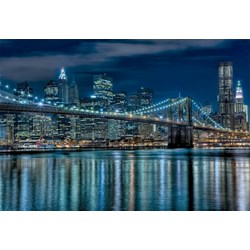 Educa (15978) - "Manhattan at Night" - 1000 pezzi