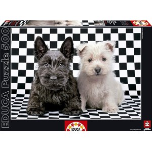 Educa (15508) - "Black and White Terriers" - 500 pezzi