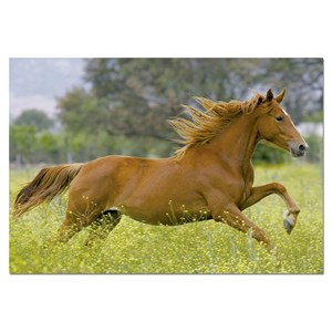 Educa (15522) - "At Full Gallop" - 1000 pezzi