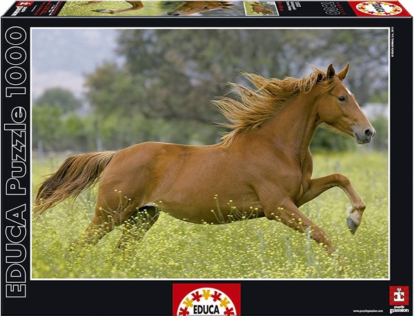 Educa (15522) - "At Full Gallop" - 1000 pezzi
