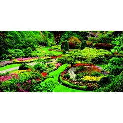 Educa (15523) - "Butchart Gardens" - 1000 pezzi
