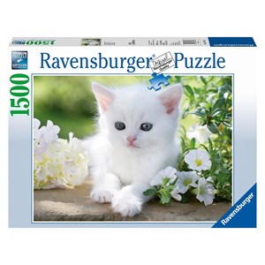 Ravensburger (16243) - "White kitten" - 1500 pezzi