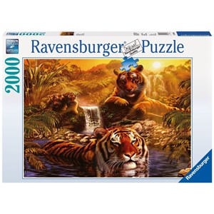 Ravensburger (16646) - "Tigers' Bathing" - 2000 pezzi
