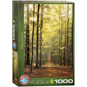 Eurographics (6000-3846) - "Forest Path" - 1000 pezzi