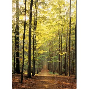 Eurographics (6000-3846) - "Forest Path" - 1000 pezzi