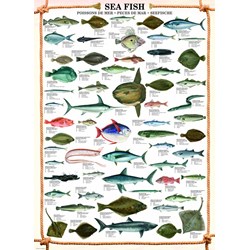 Eurographics (6000-0313) - "Sea Fish" - 1000 pezzi