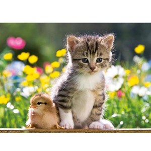 Ravensburger (13064) - "Little Friends" - 300 pezzi