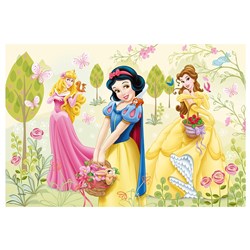 Trefl (36503) - "Disney Princess" - 48 pezzi