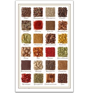 Pintoo (H1470) - "Collection of spices" - 1000 pezzi