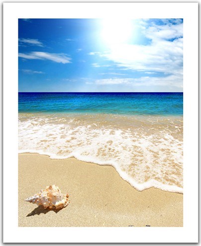 Pintoo (H1335) - "Seashell on the beach" - 500 pezzi