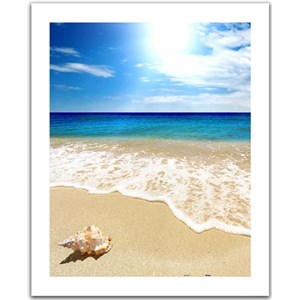 Pintoo (H1335) - "Seashell on the beach" - 500 pezzi