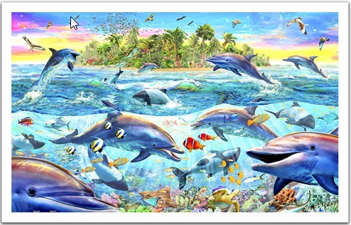Pintoo (H1400) - "The Dolphins Reef" - 1000 pezzi