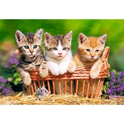 Castorland (B-021116) - "Kittens into the garden" - 165 300 pezzi