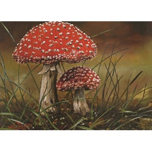 PuzzelMan (236) - Nico Bulder: "Mushrooms" - 99 pezzi