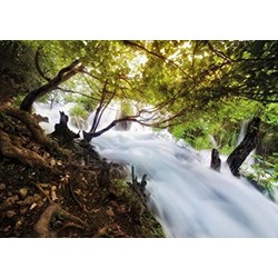Tactic (40901) - "Waterfall in Forest" - 1000 pezzi