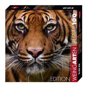 Heye (29632) - "Tiger" - 100 pezzi