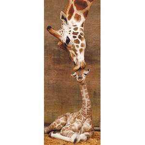 Ravensburger (15115) - "First Kiss" - 1000 pezzi