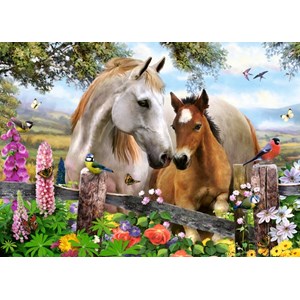 Castorland (B-27309) - "In the Summer Meadow" - 260 pezzi