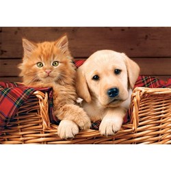 Trefl (15270) - "Better Together" - 160 pezzi