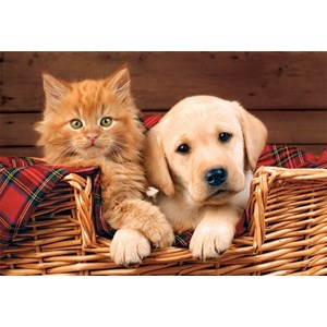 Trefl (15270) - "Better Together" - 160 pezzi