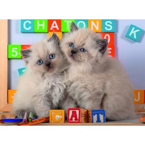 Nathan (86861) - "Cats" - 150 pezzi