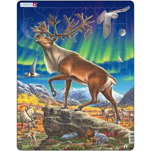Larsen (FH26) - "Reindeer in Nordic Light" - 60 pezzi